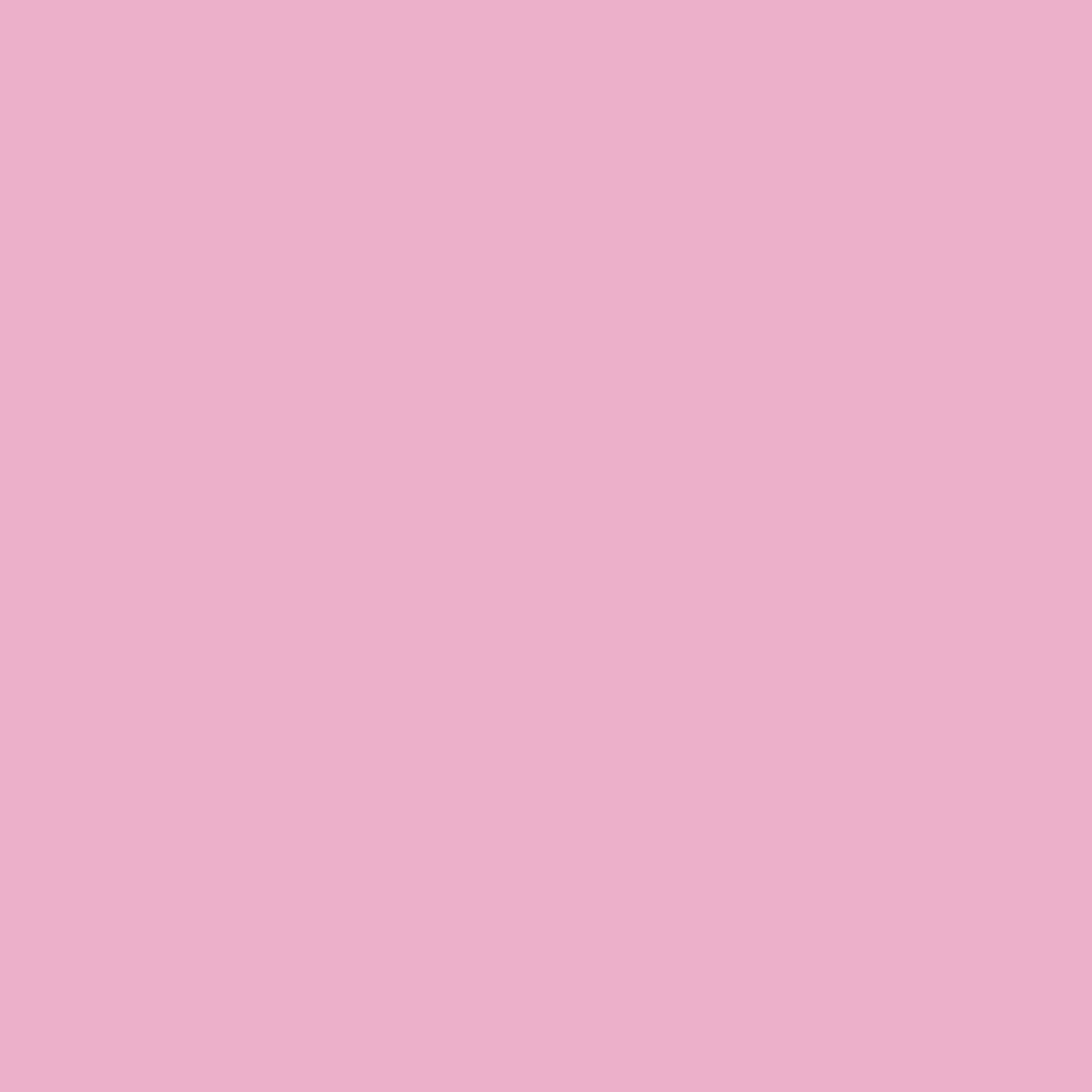 Pink Begonia 2078-50